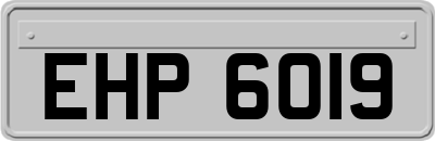 EHP6019
