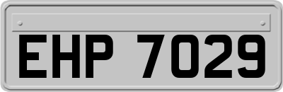 EHP7029