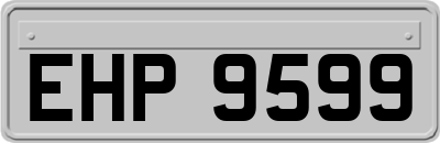 EHP9599