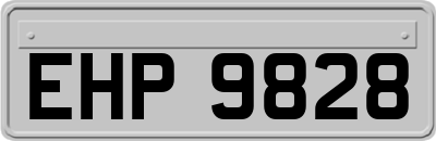 EHP9828