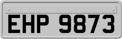 EHP9873