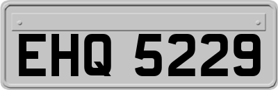 EHQ5229