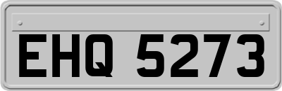 EHQ5273
