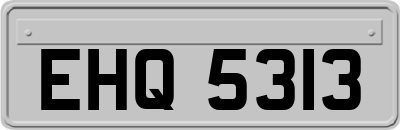 EHQ5313