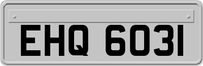 EHQ6031