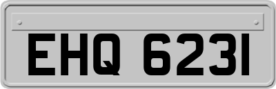 EHQ6231