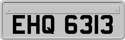 EHQ6313