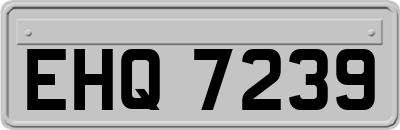 EHQ7239