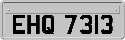 EHQ7313