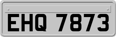 EHQ7873