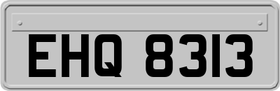 EHQ8313