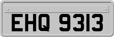 EHQ9313