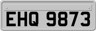 EHQ9873