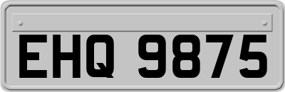 EHQ9875