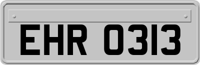 EHR0313