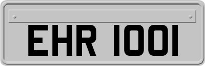 EHR1001