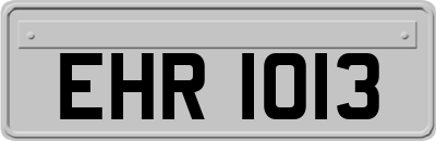 EHR1013