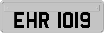 EHR1019