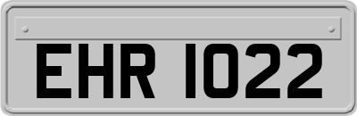 EHR1022
