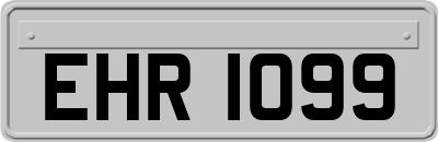 EHR1099