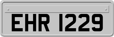 EHR1229