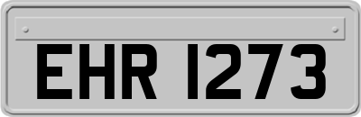 EHR1273
