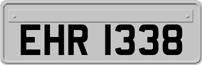 EHR1338
