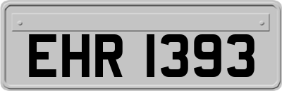 EHR1393