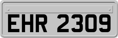 EHR2309
