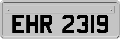 EHR2319