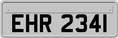 EHR2341