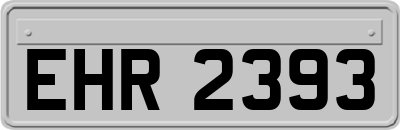 EHR2393