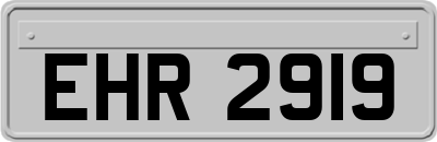 EHR2919