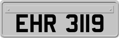 EHR3119