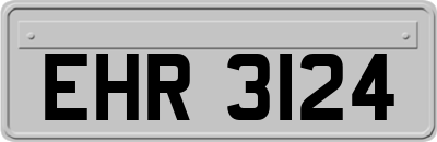 EHR3124