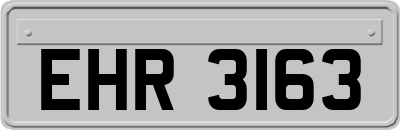 EHR3163