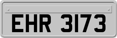 EHR3173