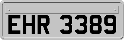 EHR3389