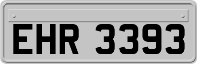 EHR3393