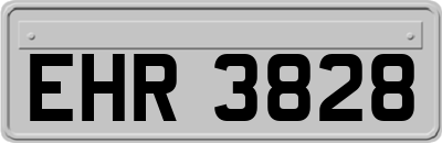 EHR3828