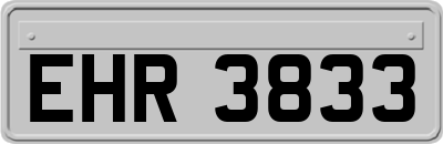 EHR3833