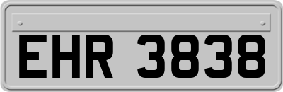 EHR3838