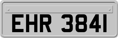 EHR3841