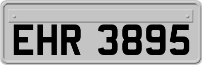 EHR3895