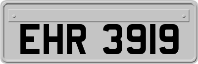 EHR3919