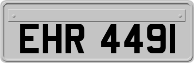 EHR4491