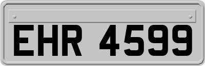 EHR4599