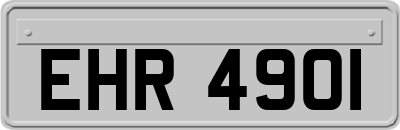 EHR4901