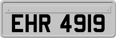 EHR4919