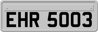 EHR5003